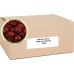 Candied Natural Colour Light Red Cherries 10kg