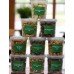 Selection Gift Box - 9 Nut Varieties 9=750g