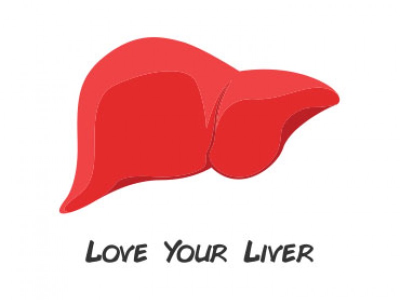 Your Liver: What it's Function is and Natural Approaches to Keep it Healthy