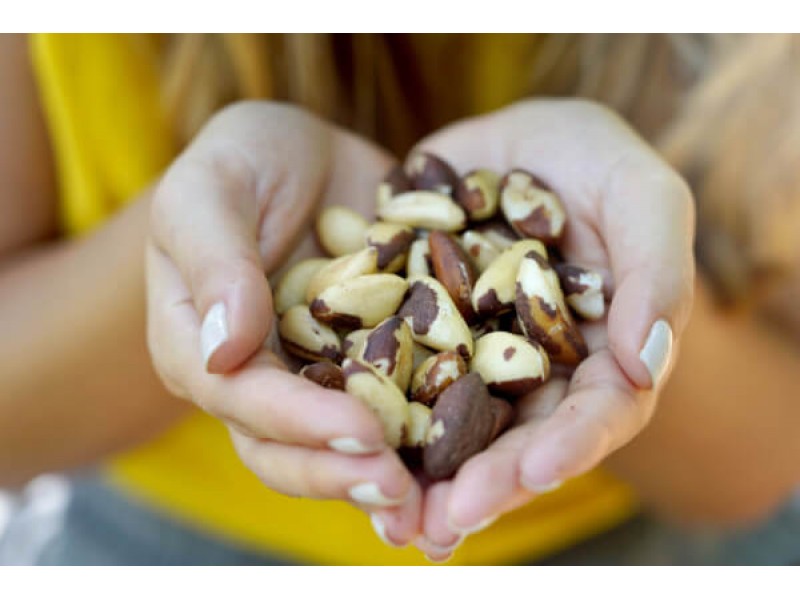 The Many Health Benefits of Brazil Nuts