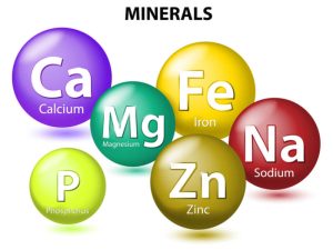 Topics 33 essential minerals