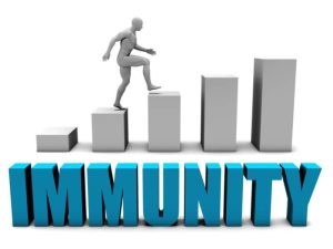 Blogs 53 improve your immunity